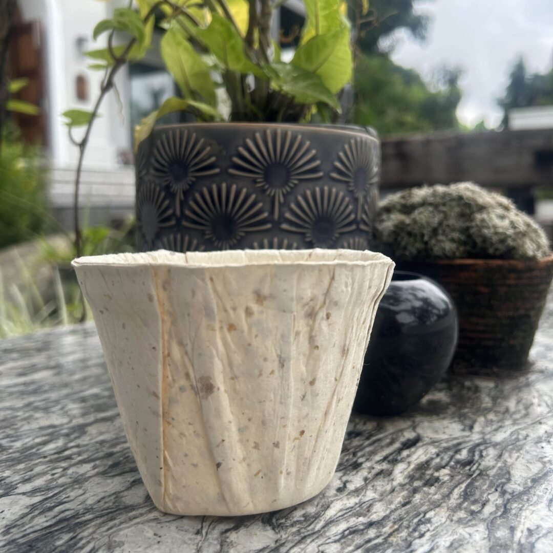 Biodegradable pot(Thin) x10