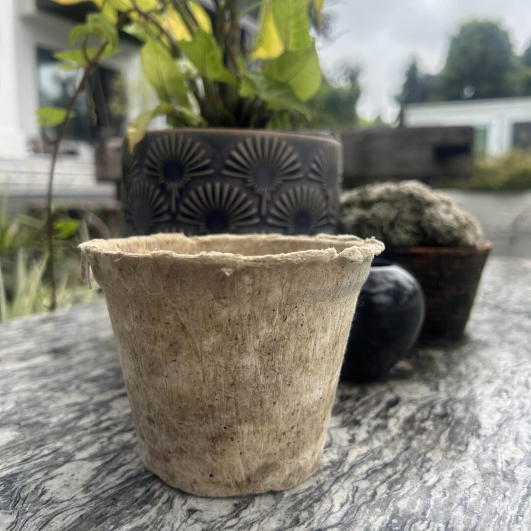 Biodegradable pot(Thick) x10